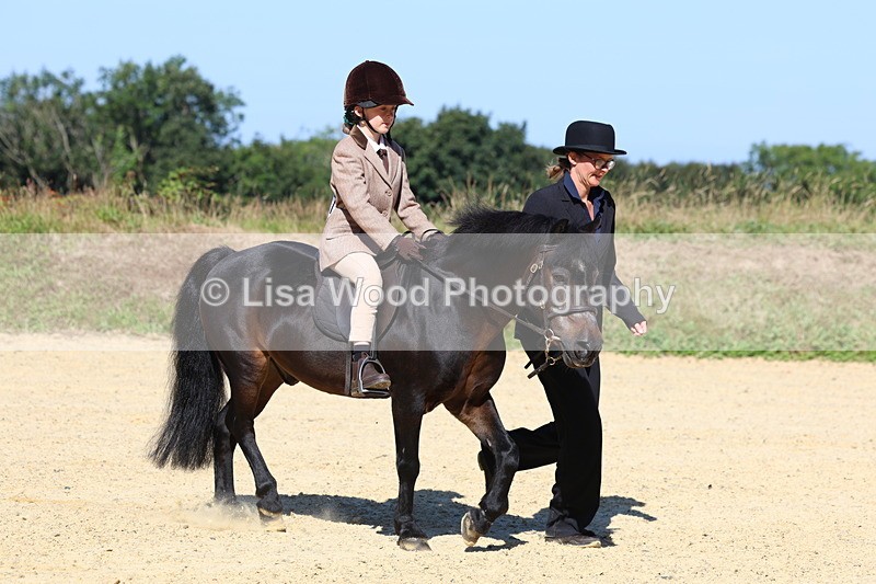 3E7A8068 - Class 15: Lead Rein