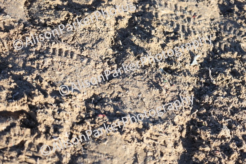 20251130-1517 - Class 4 - 90cm