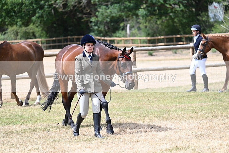 WJ7_1788 - Class 4a Prettiest Mare 14.2hh and over hand