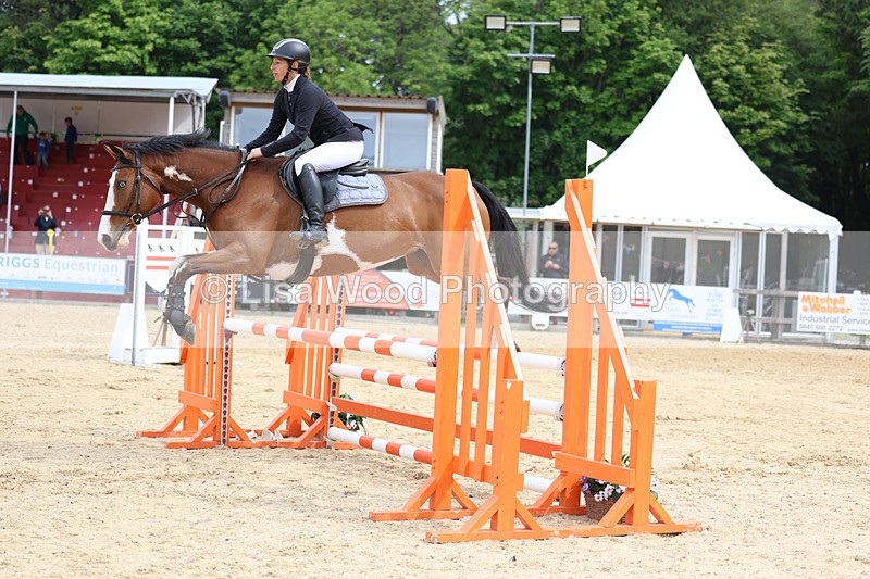 3E7A8610 - Class 4: Senior British Novice/90cm open