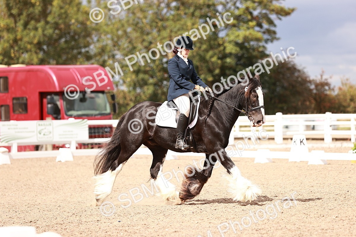 SBM_06207 - Class 37 - Novice 5