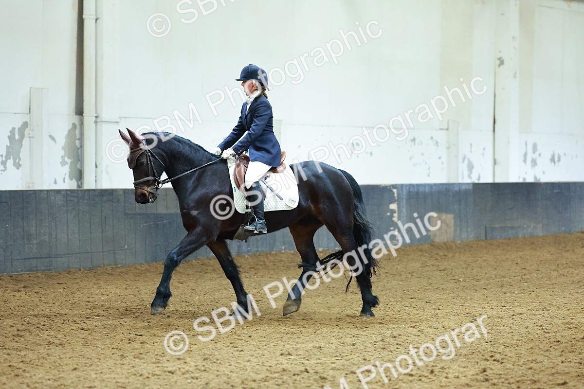 SBM_003772 - Novice 2