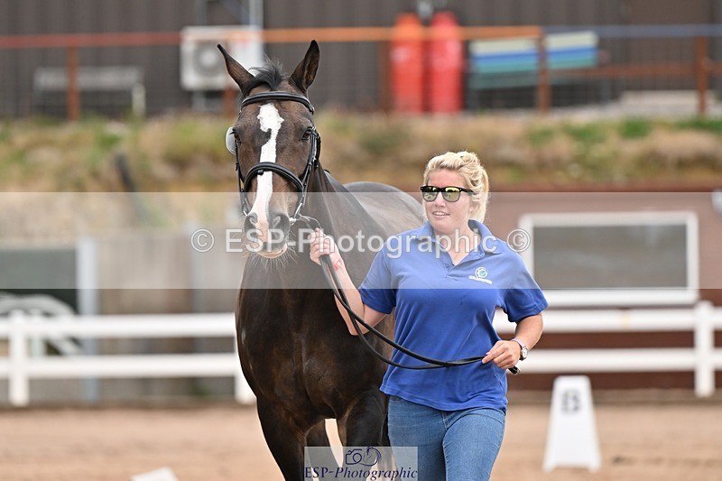 250716-155802-02301 - Trot Up 3.30 to 4.30