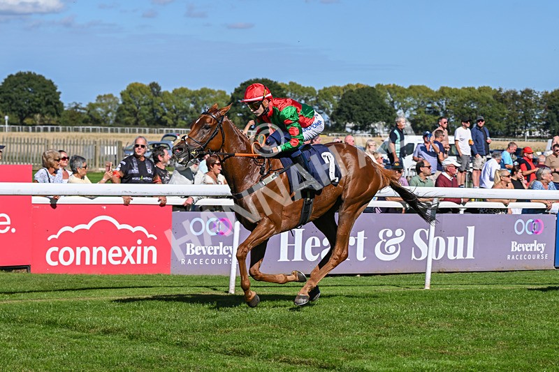 220926-Race 1-Snooker McCrew-2808 - Race 1 1.30pm Churchill Tyres Apprentice Handicap