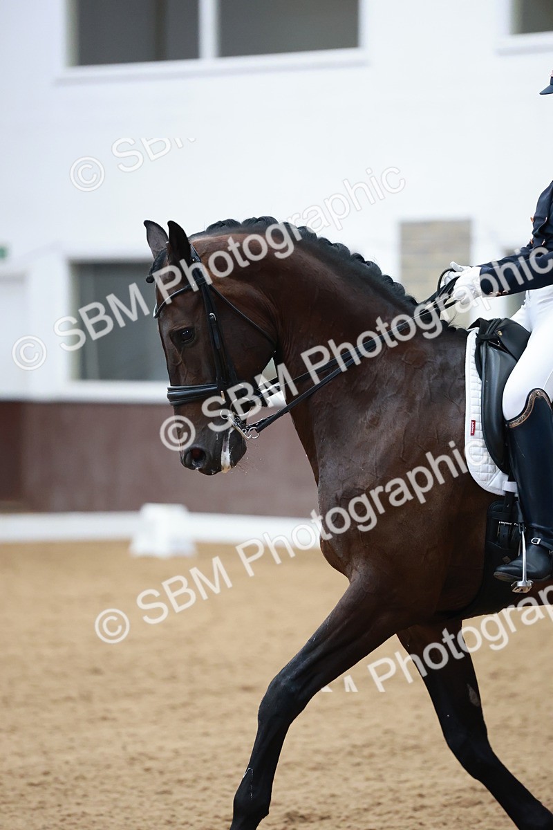 SBM_008589 - Class 14 - FEI PSG - 9.30-10.30