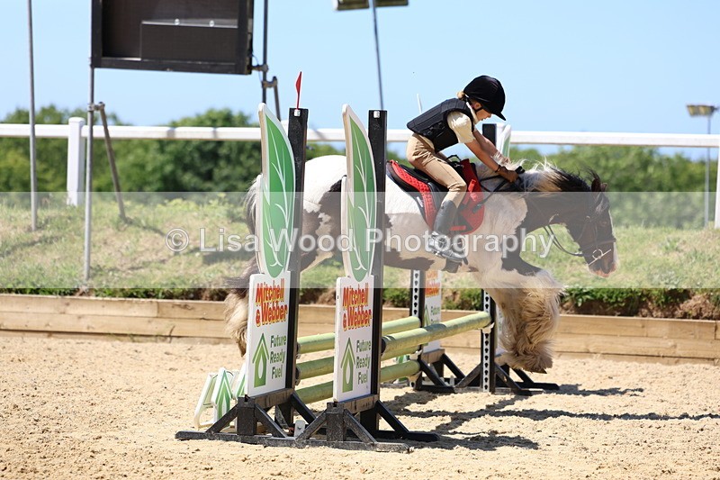 3E7A2598 - Class 4/5: 60cm Open Teams and Individuals