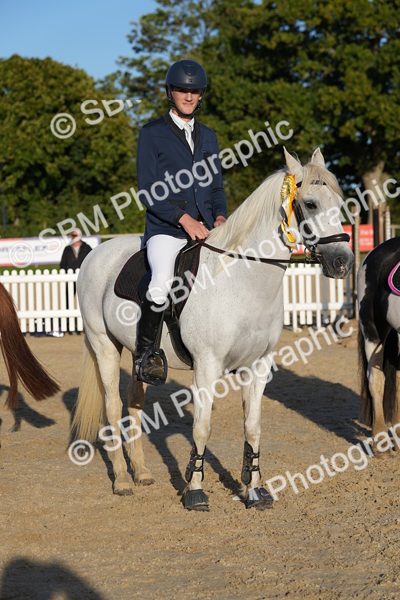 SBM_54033 - J8 - Junior Pony 65cm Championship