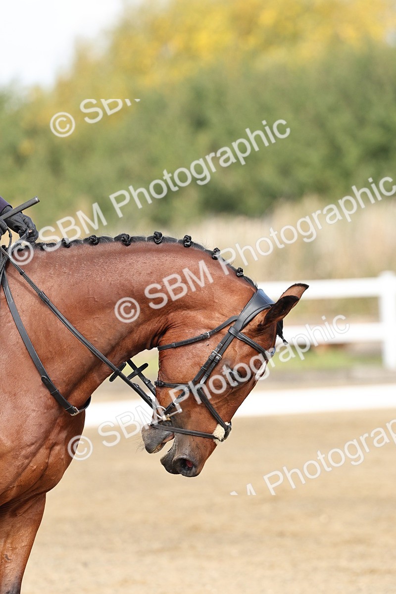 SBM_017447 - Class 12-14 - Intro 2-Prelim 5