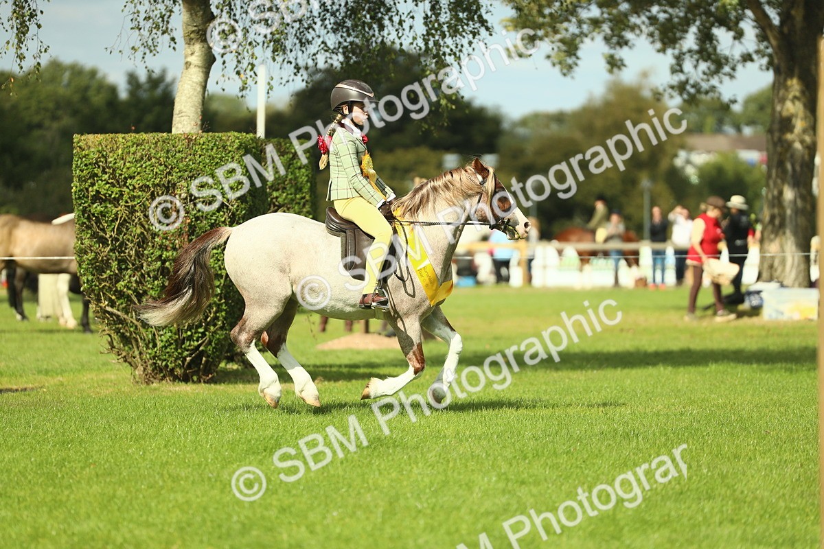 SBM_44933 - Working Hunter Pony Supreme Championship