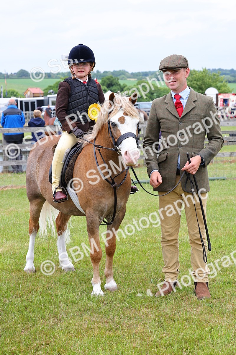 SBM_08370 - Class 42-43 - LIHS BSPS Heritage Working Sports Pony