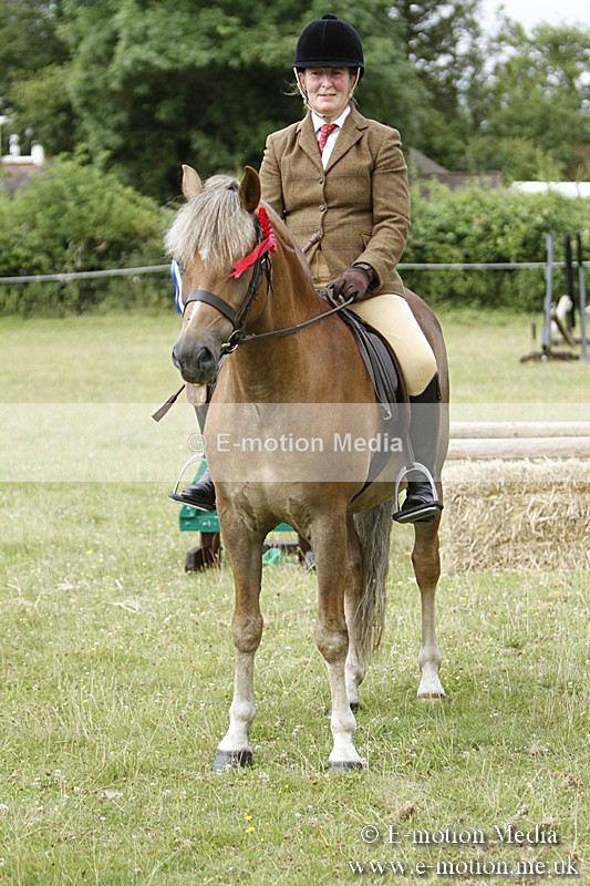 BVR160717-189 - Ring 3 BVRC Show 16/07/17