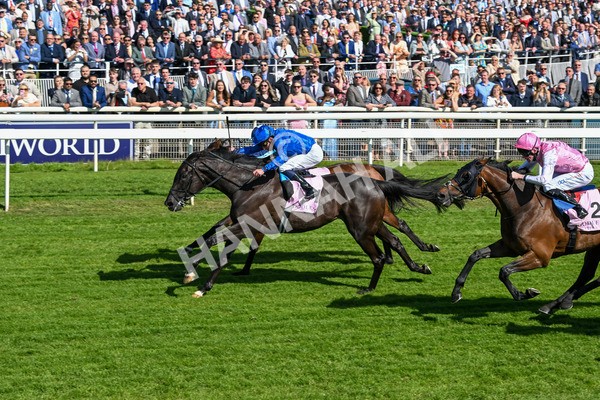 160525-Race 4-Rebels Romance-6724 - Race 4 3.45pm Boodles Yorkshire Cup Stakes