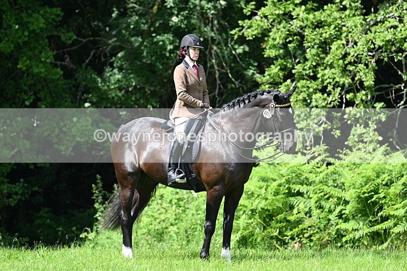 WJ7_1243 - Class 11 Condition & Turnout