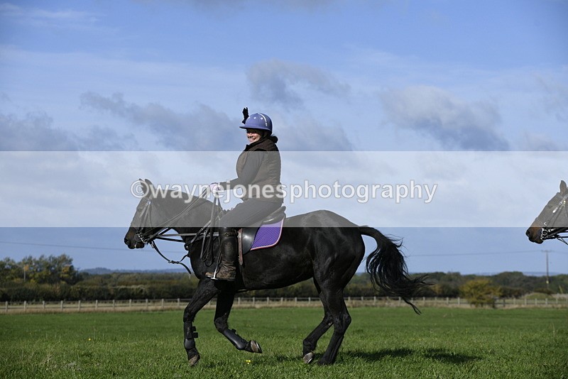 _DSC5333 - Time 10:49 to 11:23