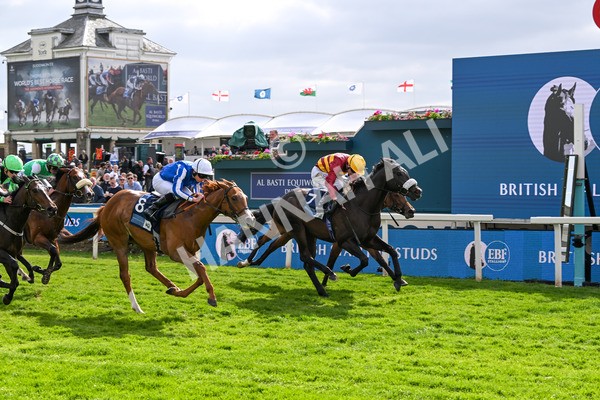 150525-Tropical Storm-4898 - Race 5 4.18pm British Stallion Studs EBF Westow Stakes