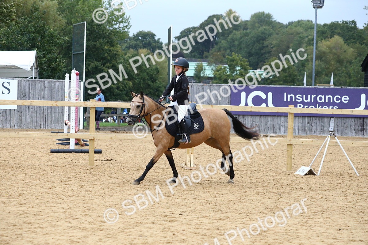 SBM_68400 - J3b - Mini Tour Junior Pony 40cm Championship