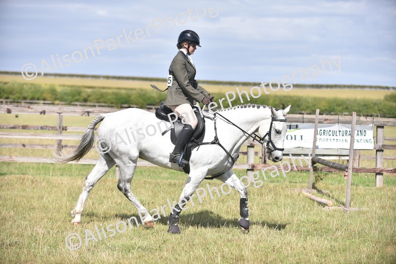 20260906-2698 - Class 13 - Working Hunter Horse or Pony