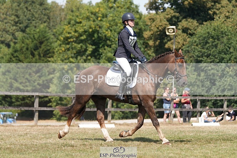 250823A-122640-29304 - Arena A