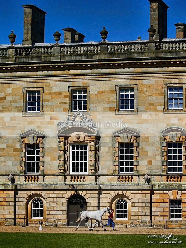 Houghton 300521 - 491ab - Equestrian