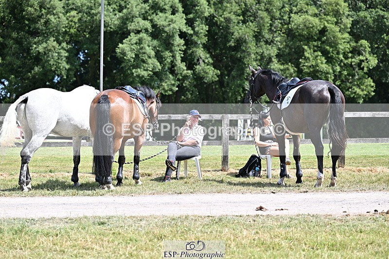 250704A-140417-11816 - Cls 23 Snr Foxhunter