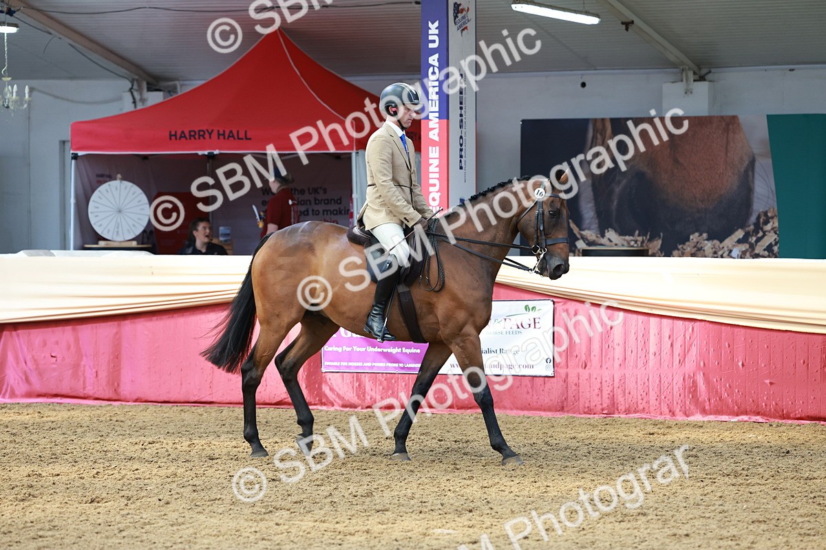 SBM_14928 - Class 108 - Ridden Retired Racehorse