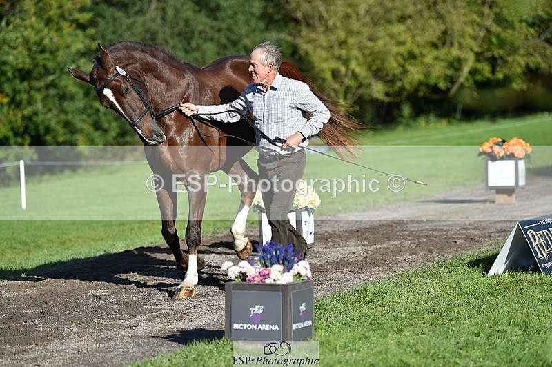 231022-104950-23522 - 447-STALLONE-Andrew.Winterton-TrotUp+SJ