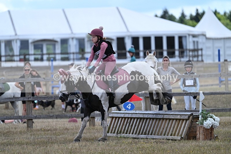 WJ7_0666 - 60cm Time 12:26 to 12:46