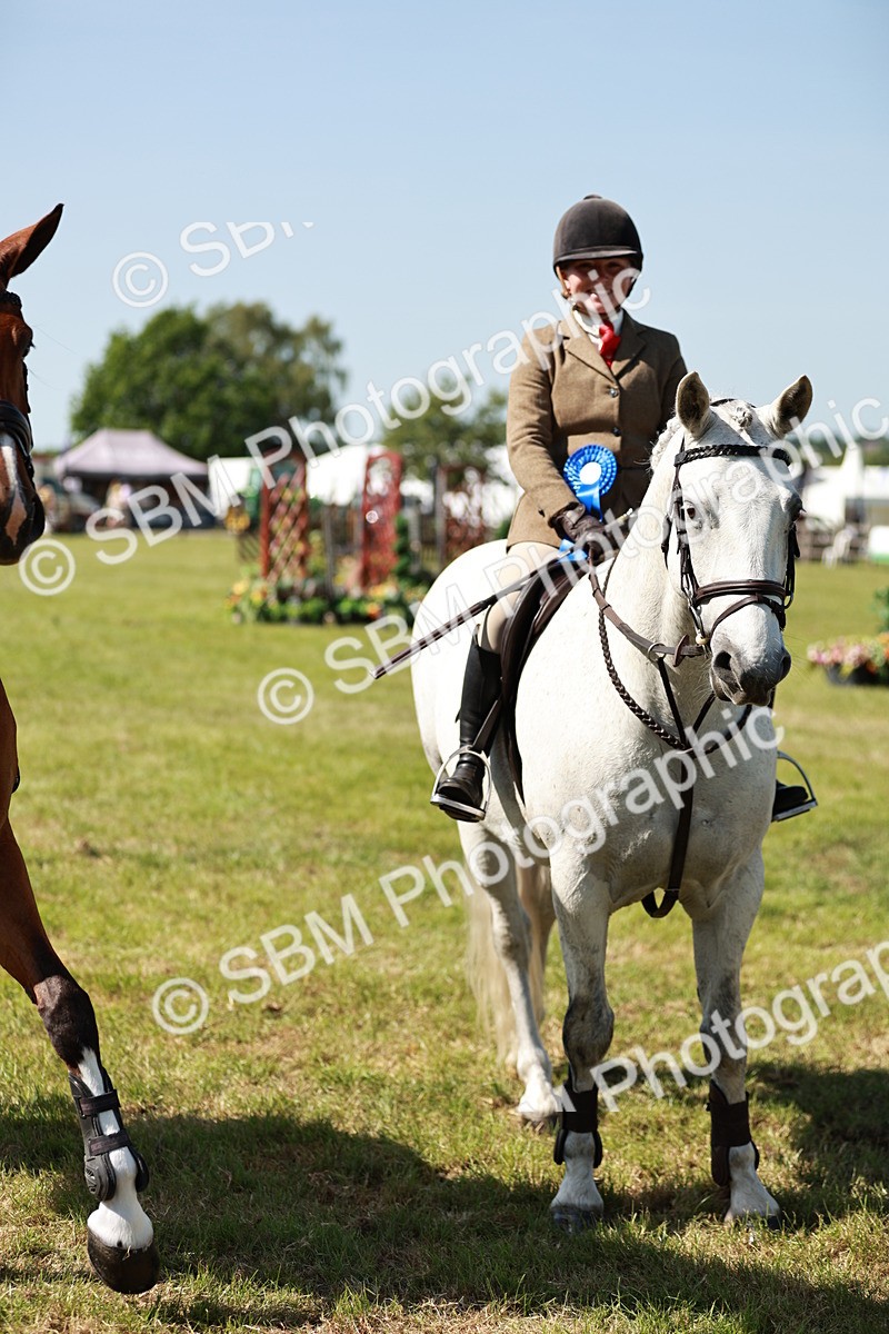 SBM_18466 - Class 112-113 - BSPS LIHS Working Sports Pony