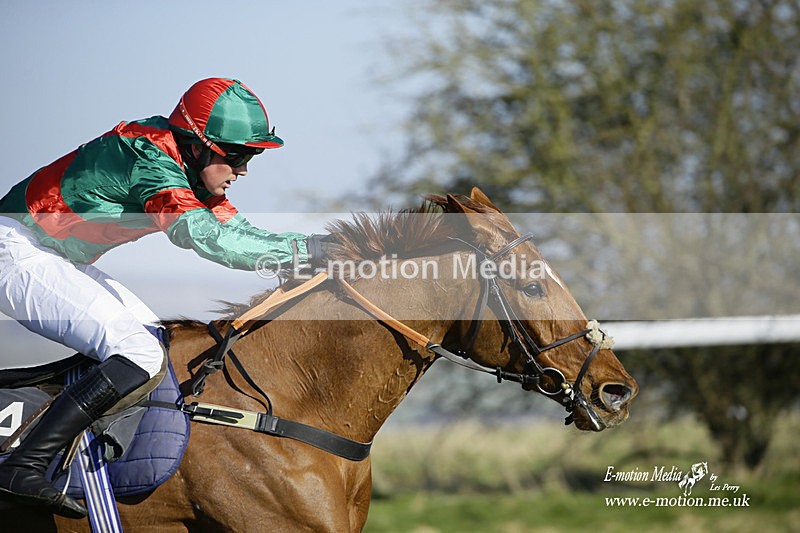 PtP 270222 120 - South & West Wilts Point-to-Point Larkhill 27/02/22