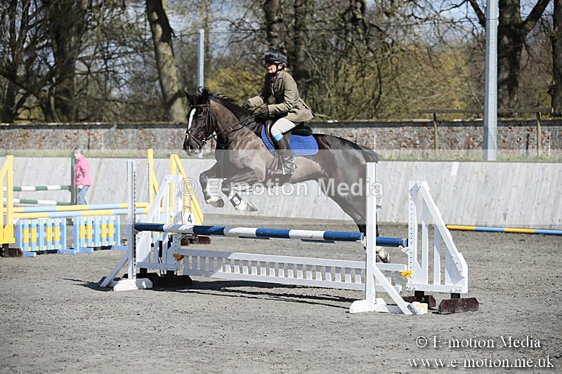 BVRC SJ 170319 528 - Bourne Valley Riding Club Showjumping 17/03/19