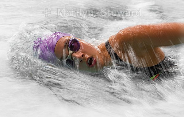 Front Crawl - Exhibition acceptances