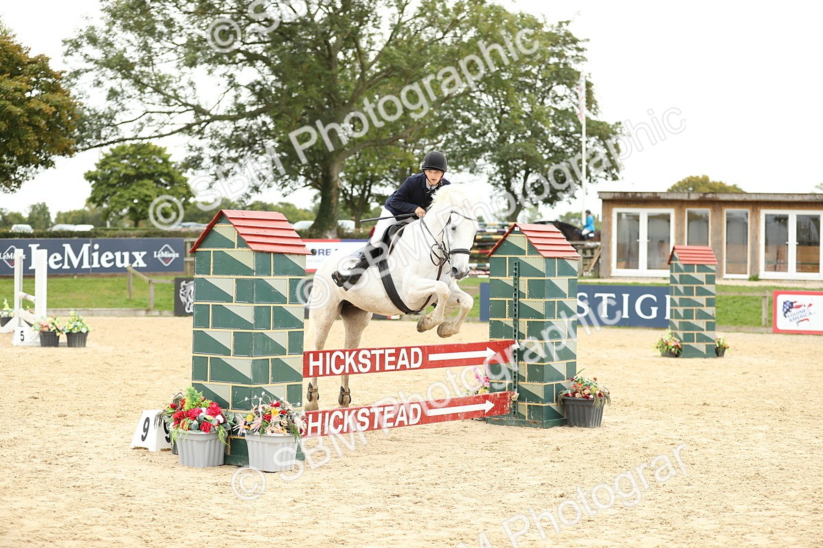 SBM_63156 - Supreme championship 75cm 80cm