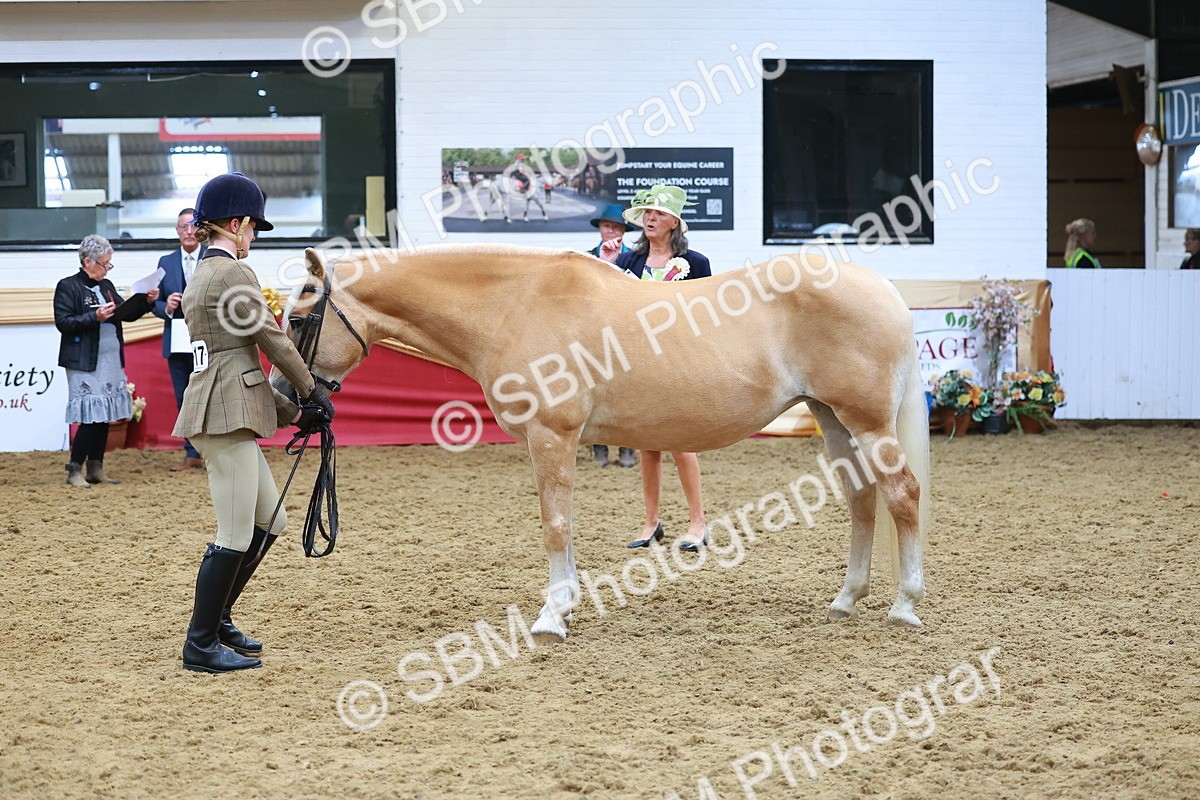 SBM_09816 - Class 102 - HOYS Veteran Qualifier - Ridden Veteran