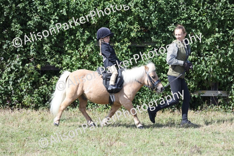 20250831-2660 - Class 17 - Lead Rein Pony