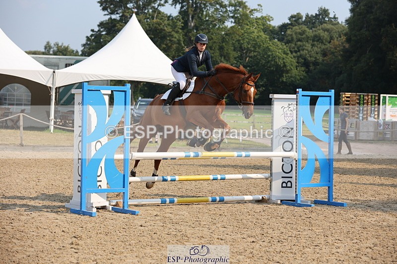 250816A-101233-00617 - Cls 3 Snr British Novice