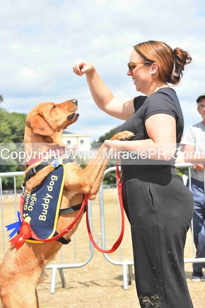 SH4_0268 - Dog show.