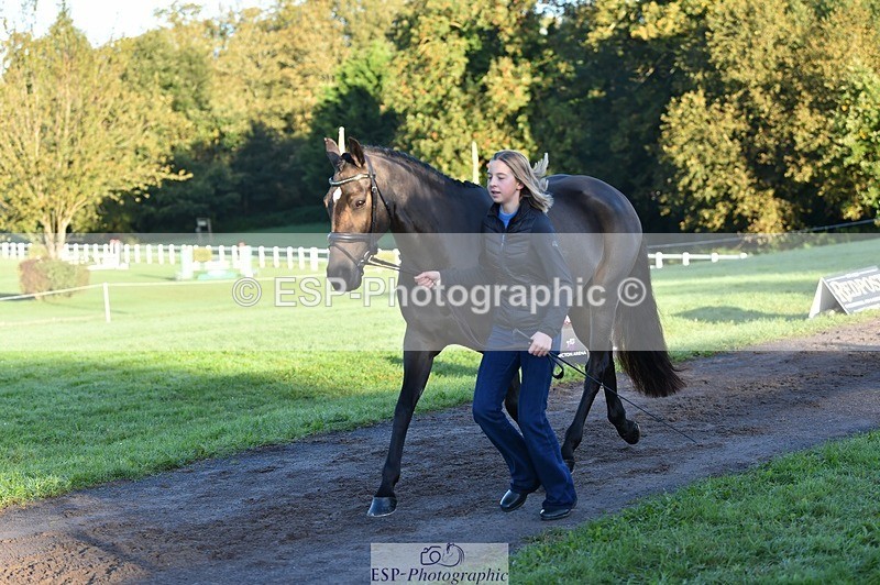 231022-090144-21518 - 629-DP.UK.DUN.SURPRISE-Isla.Kitson-TrotUp+SJ