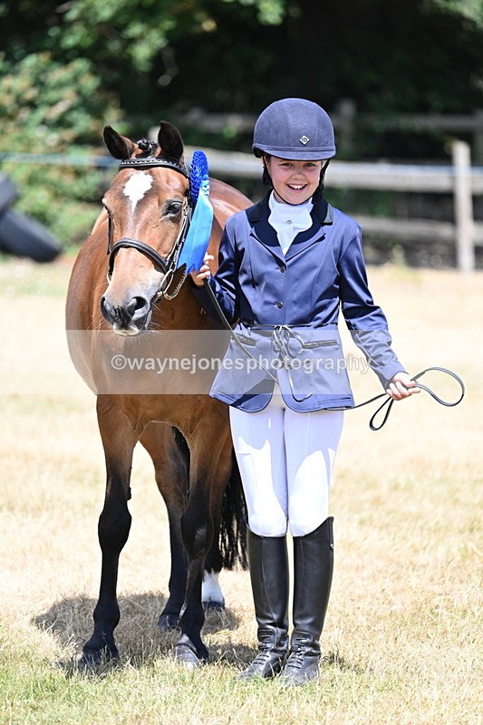 WJ7_2247 - Class 5 Most Handsome Gelding (up to 14.2hh) in hand