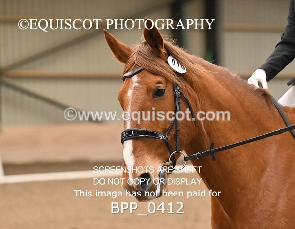 BPP_0412 - 16 - M IRVING