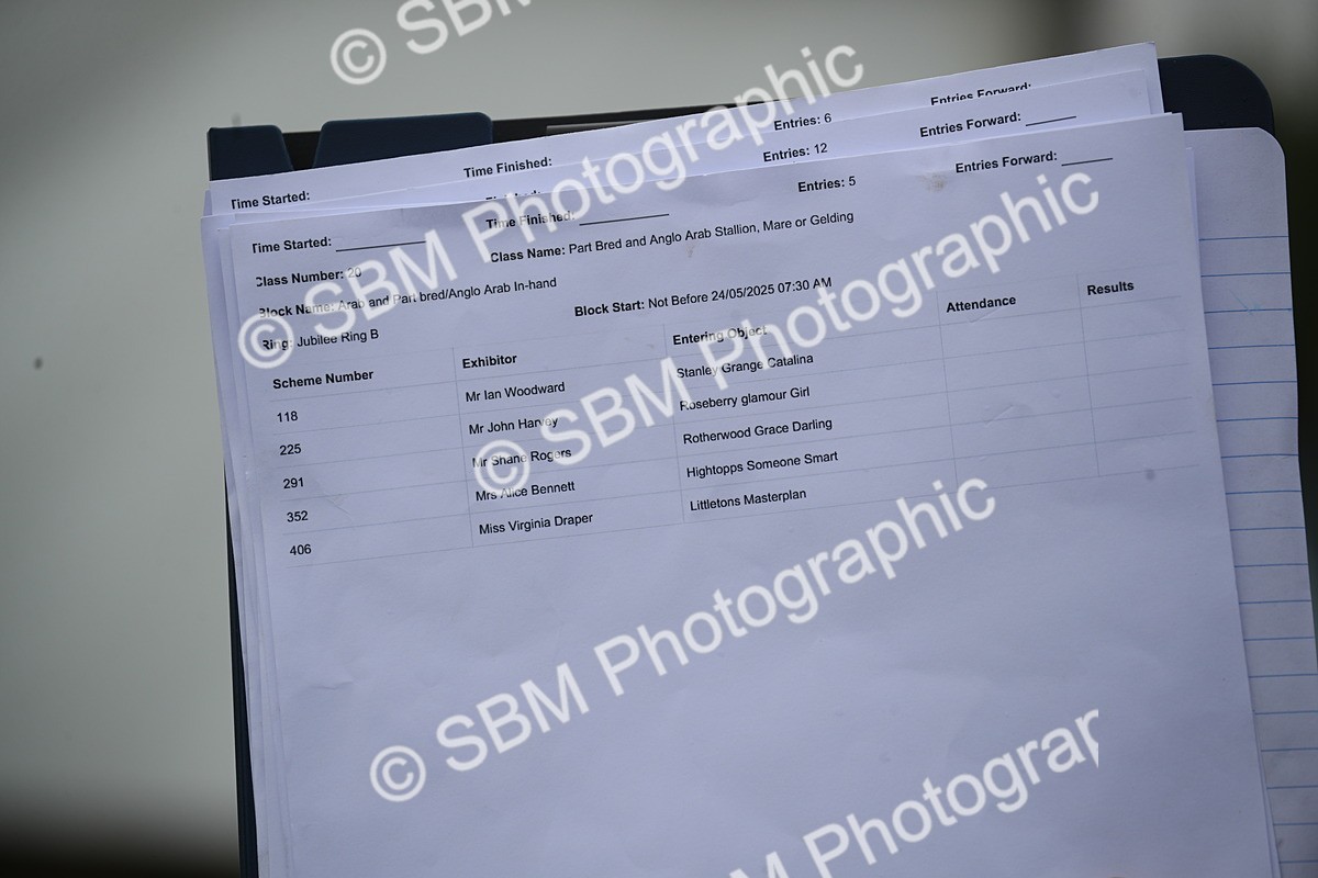 SBM_00107 - Class 17-20 - Arab & Part Bred - Anglo Arab In Hand