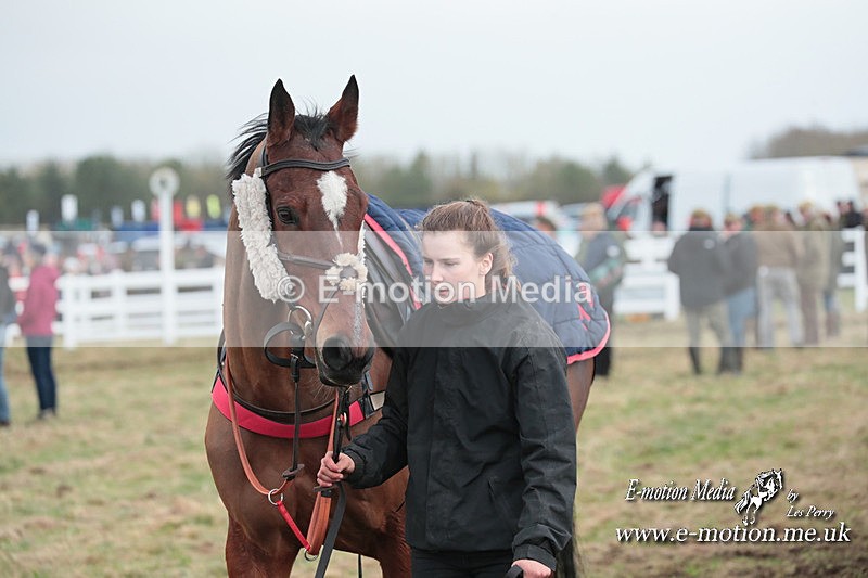 PtP 311223 186 - Larkhill Racing Club Point-to-Point 31/12/23