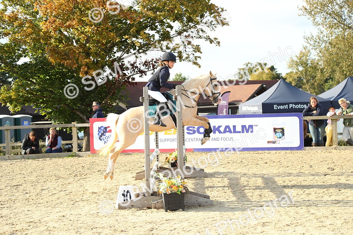 SBM_53598 - J8 - Junior Pony 65cm Championship