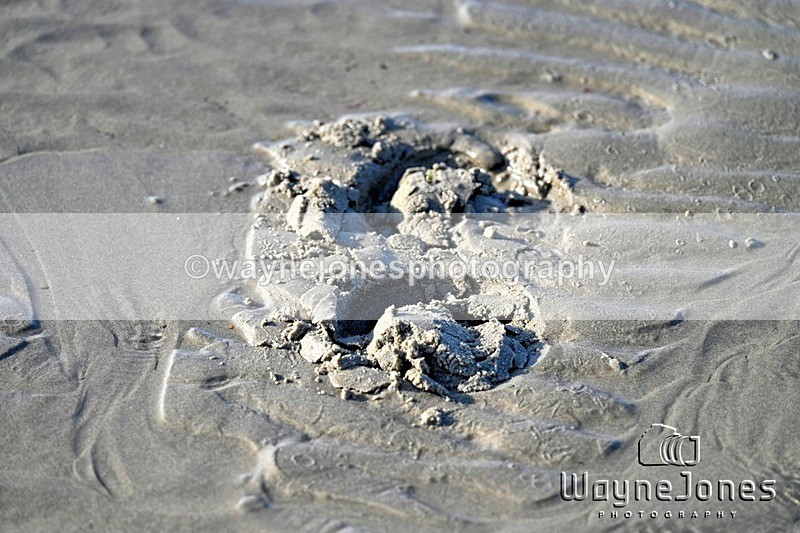 WJ7_2765_1 - Kellie & Churchill ... do Hayling Island 25-08-24