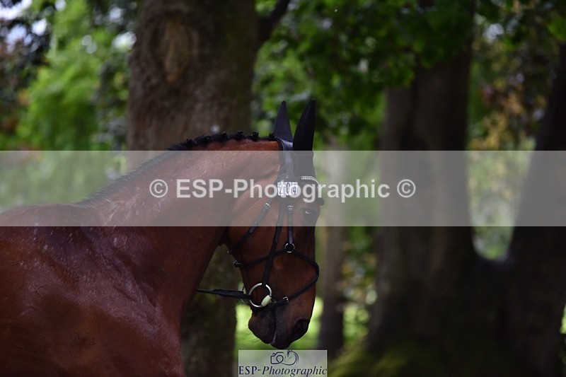 240522-162340-00887 - 204-ZADOK_D-Charlie_Piper