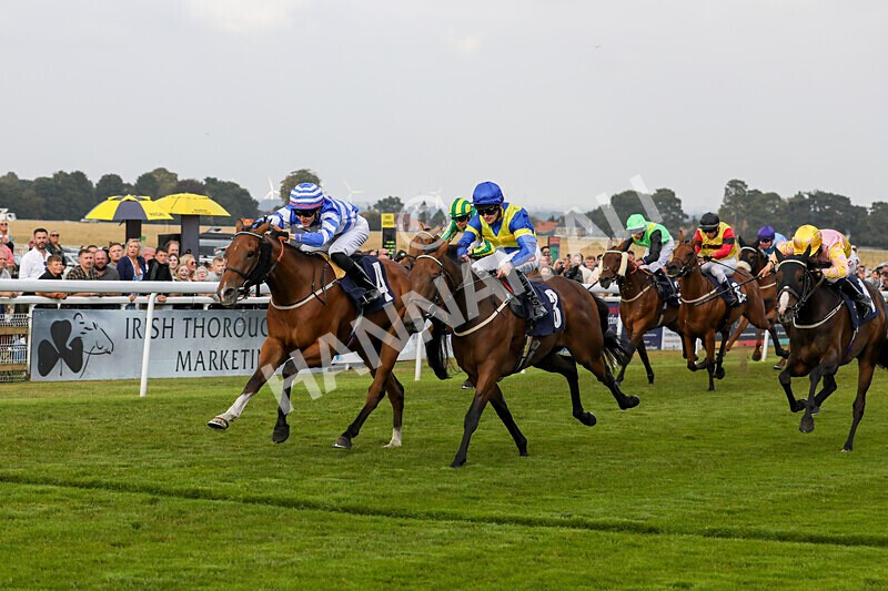 310824-Race 8-This Years Love-2354 - Race 8