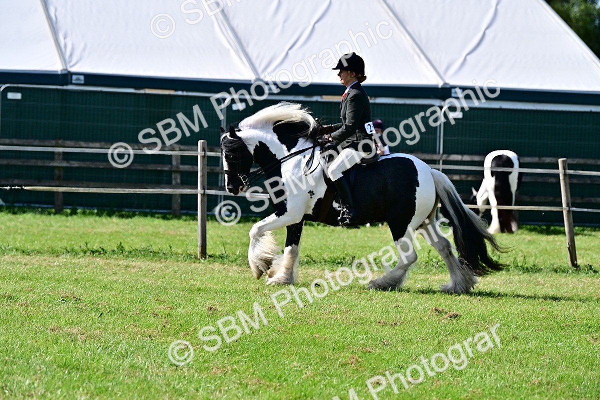 SBM_09325 - Class 63-65 - Traditional Gypsy Cobs In Hand & Ridden