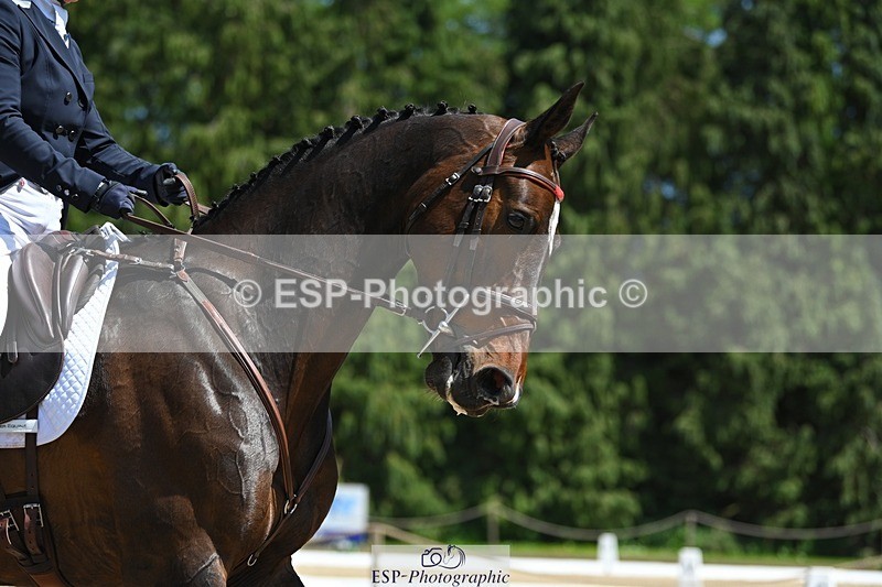 230526-135403-06847 - 479-DASSETT_SELECT-Kate_Rocher-Smith-DR