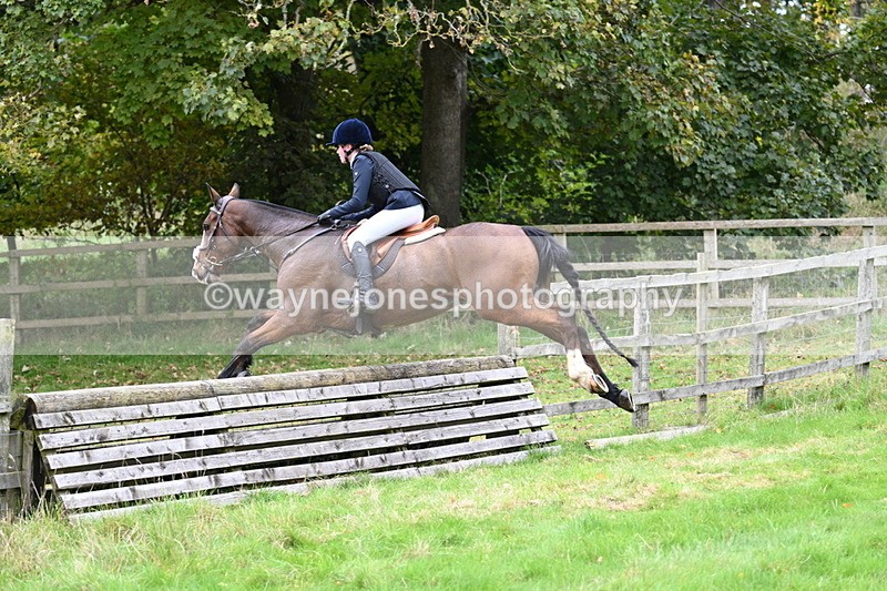 WJ7_4456 - Camera 1 Line 3