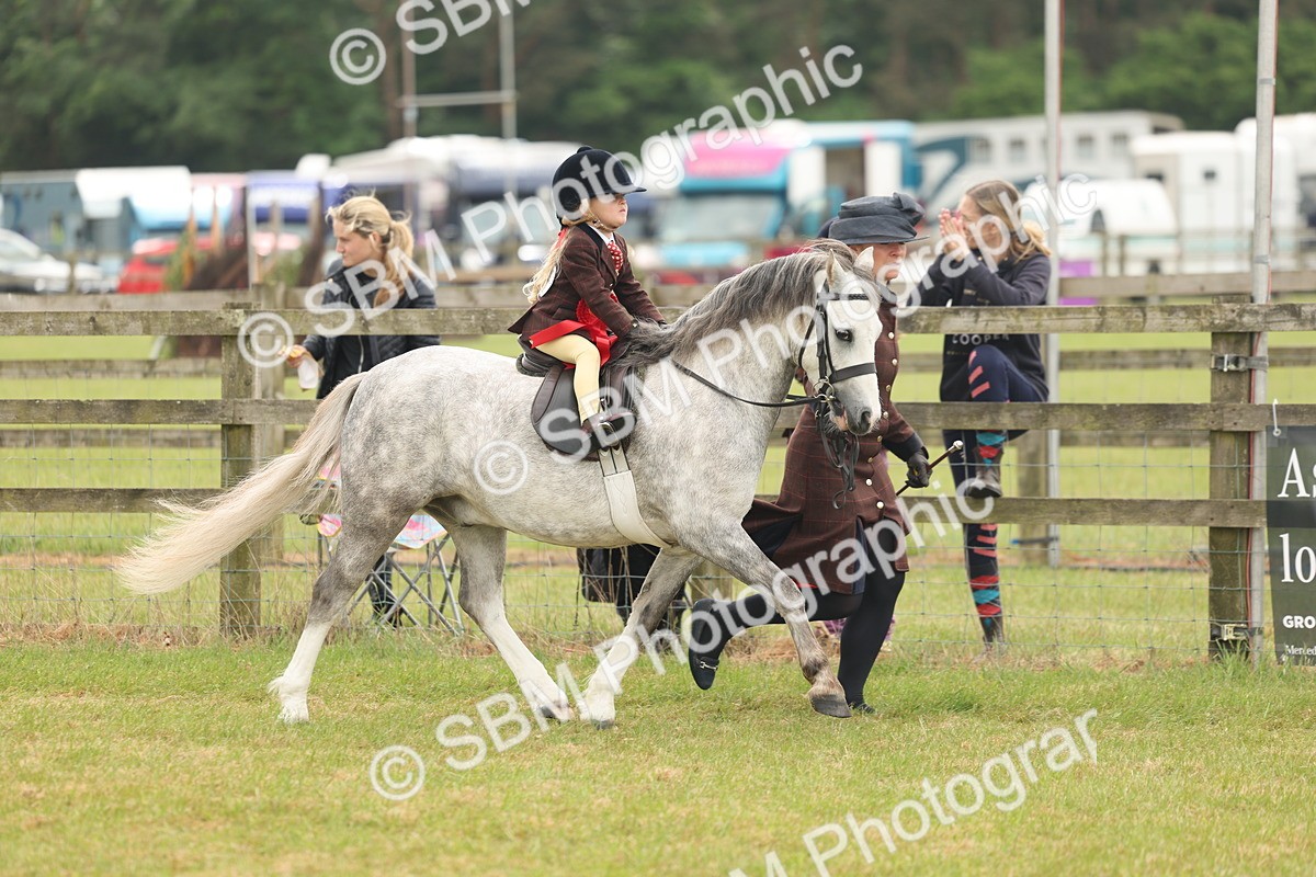 SBM_06834 - Class 74-75 - M&M Lead Rein and First Ridden Pony