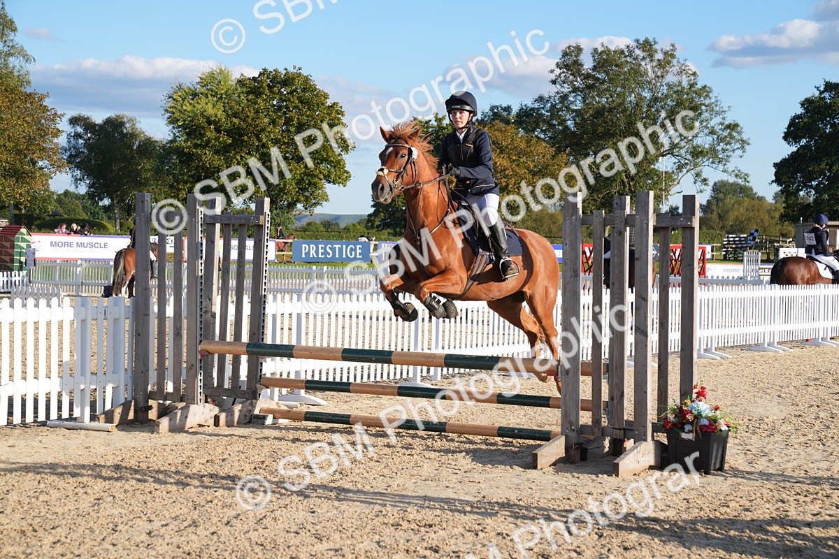 SBM_29950 - J44 - Super Speedy Scurry Open - 70cm